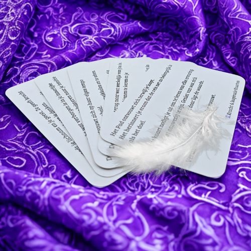 https://cdn.webshopapp.com/shops/259273/files/496039446/file.jpg