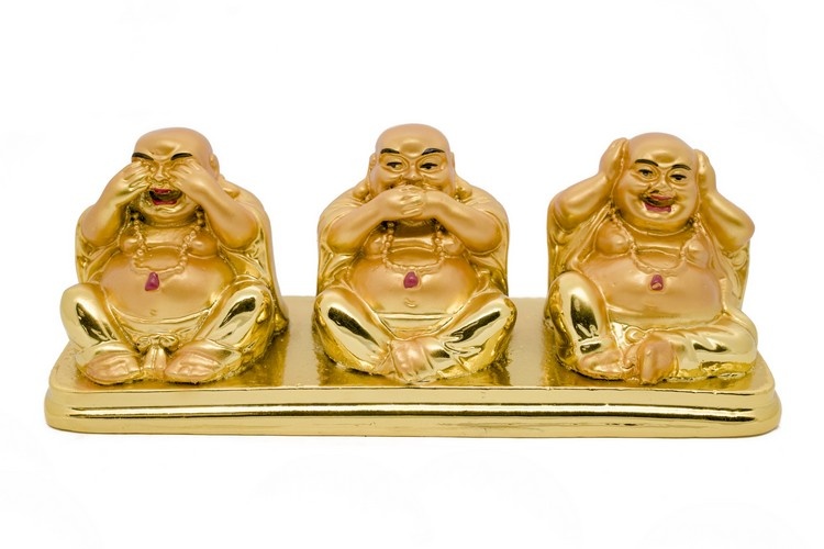 https://cdn.webshopapp.com/shops/259273/files/496058263/file.jpg