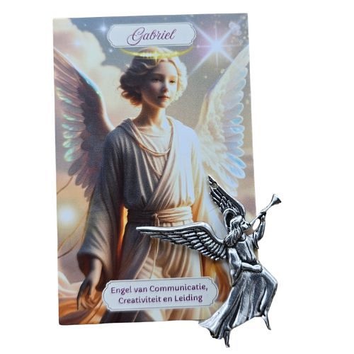 https://cdn.webshopapp.com/shops/259273/files/496162891/file.jpg