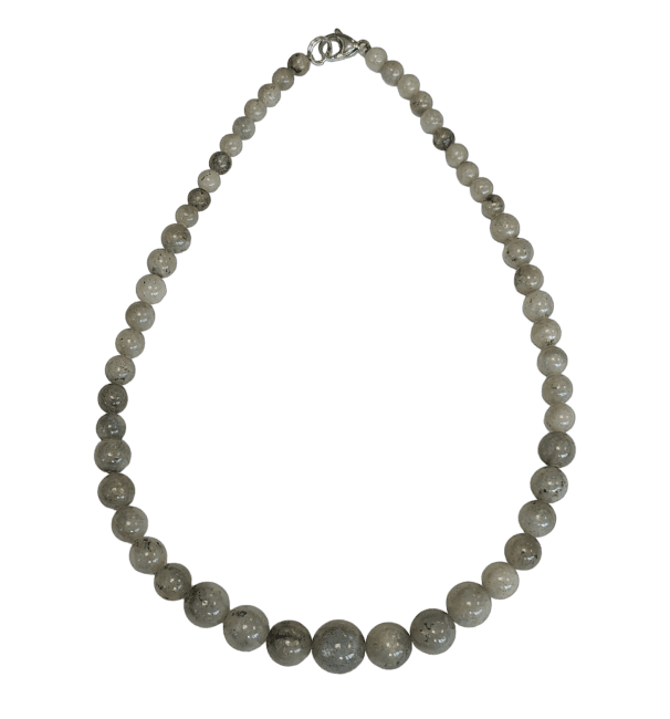 https://cdn.webshopapp.com/shops/259273/files/496499336/file.jpg