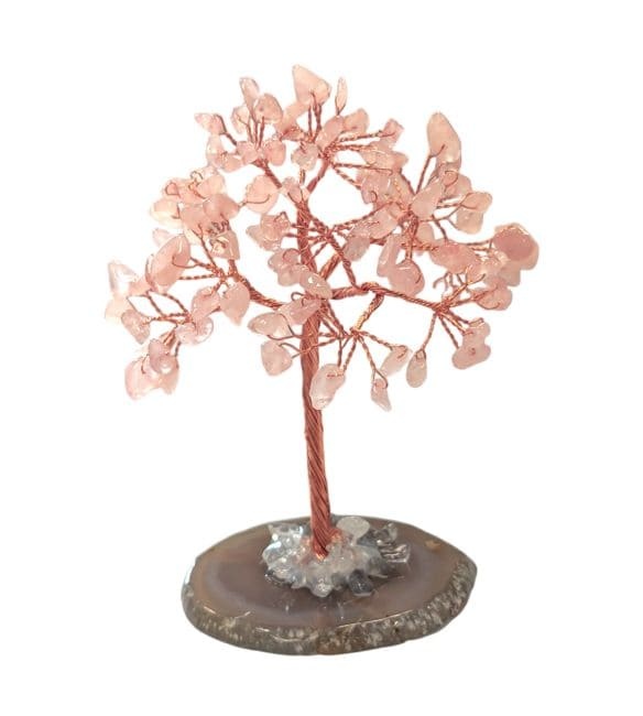 https://cdn.webshopapp.com/shops/259273/files/496499993/file.jpg