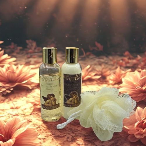 https://cdn.webshopapp.com/shops/259273/files/496741158/file.jpg