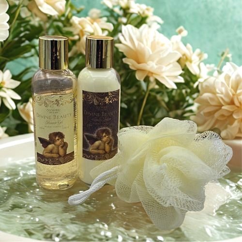https://cdn.webshopapp.com/shops/259273/files/496741166/file.jpg