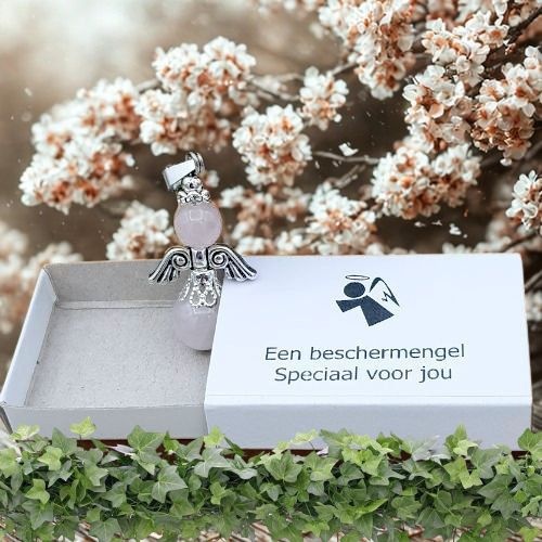 https://cdn.webshopapp.com/shops/259273/files/496944586/file.jpg