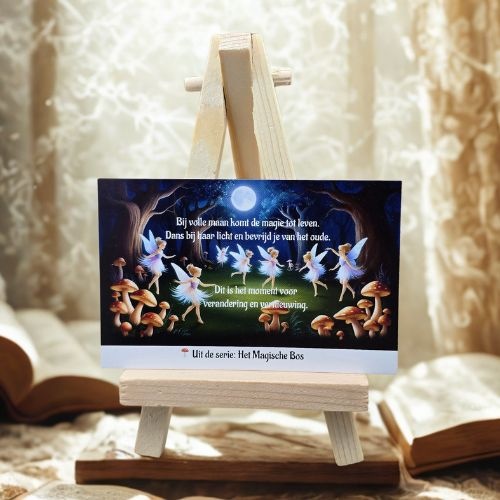 https://cdn.webshopapp.com/shops/259273/files/496954554/file.jpg