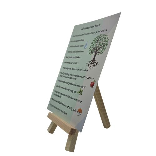 https://cdn.webshopapp.com/shops/259273/files/496954623/file.jpg