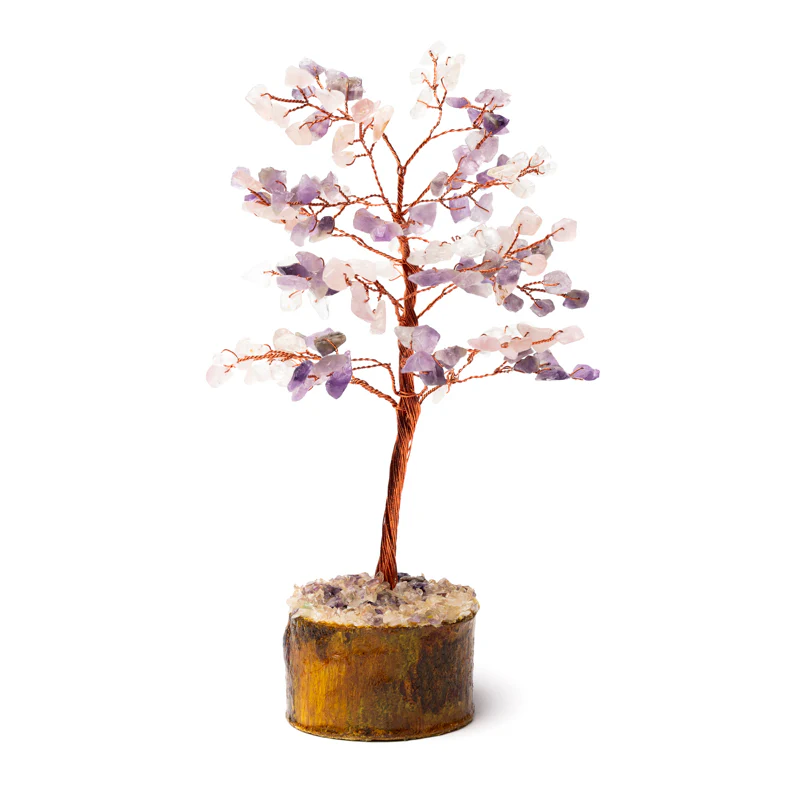 https://cdn.webshopapp.com/shops/259273/files/497087258/file.jpg