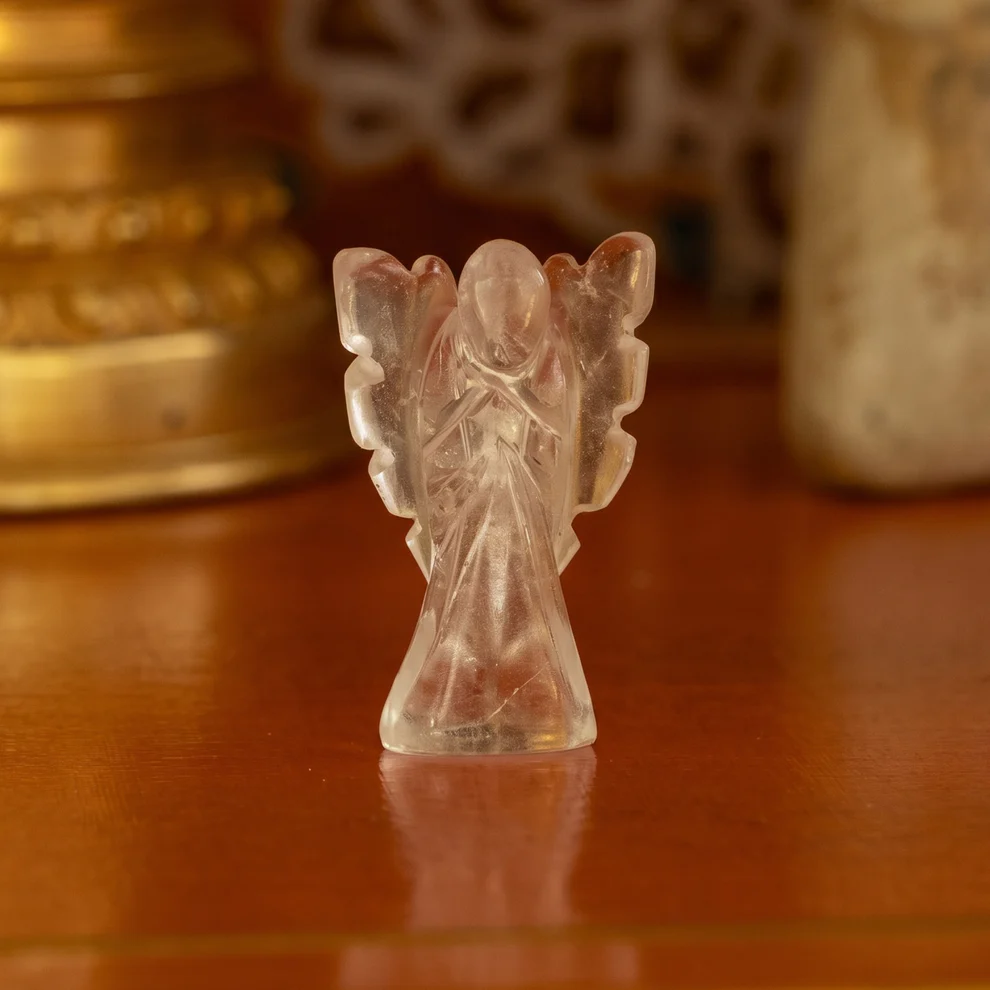 https://cdn.webshopapp.com/shops/259273/files/497102281/file.jpg