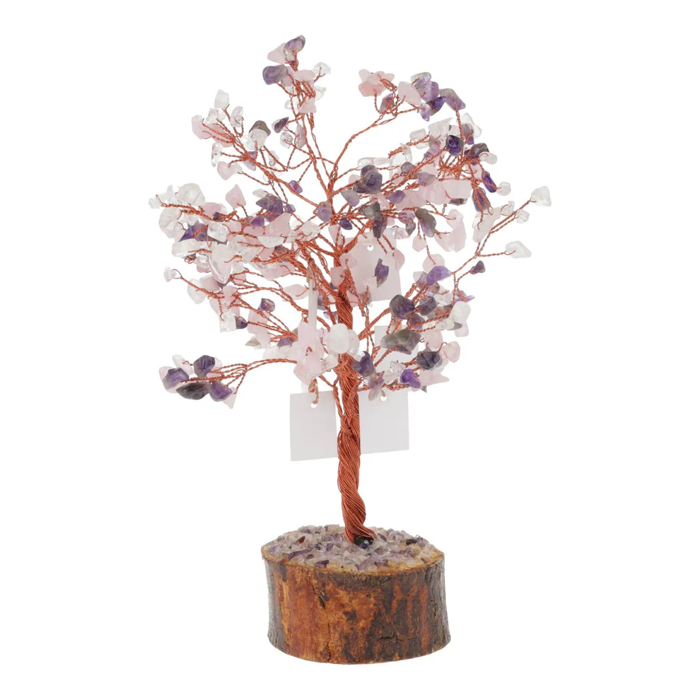 https://cdn.webshopapp.com/shops/259273/files/497102496/file.jpg