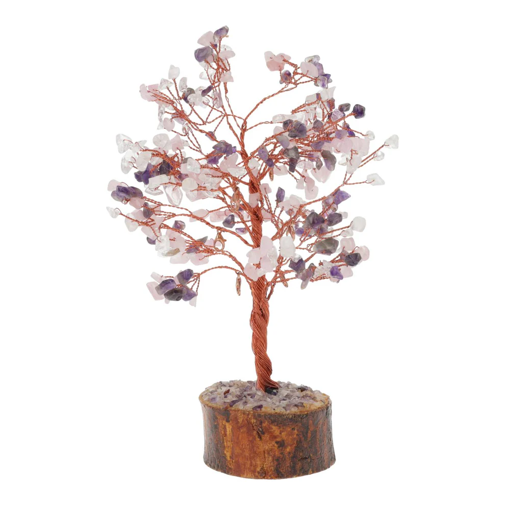 https://cdn.webshopapp.com/shops/259273/files/497102497/file.jpg