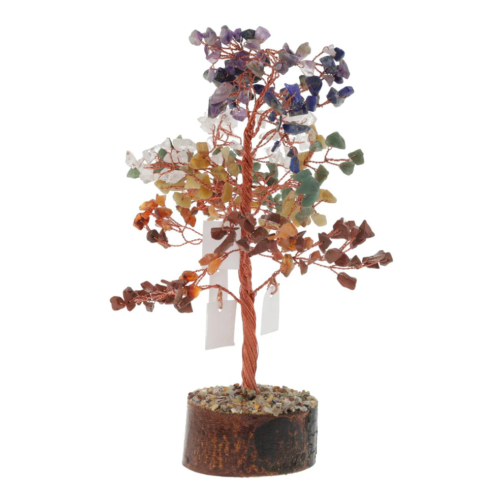 https://cdn.webshopapp.com/shops/259273/files/497102528/file.jpg