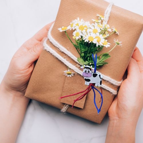 https://cdn.webshopapp.com/shops/259273/files/497156355/file.jpg