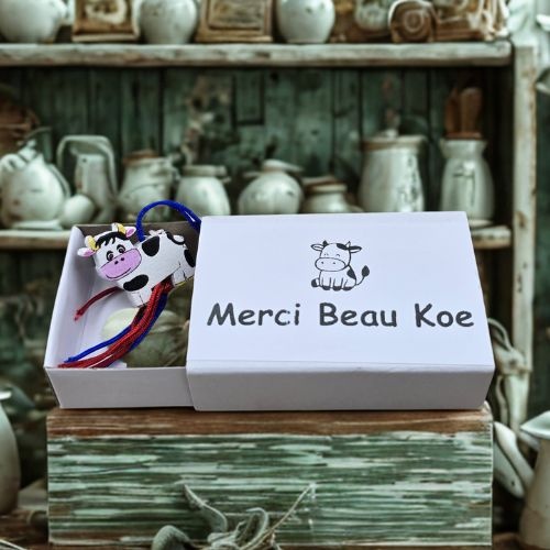 https://cdn.webshopapp.com/shops/259273/files/497160401/file.jpg