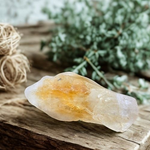https://cdn.webshopapp.com/shops/259273/files/497378093/file.jpg