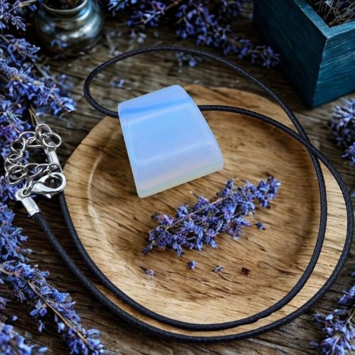 https://cdn.webshopapp.com/shops/259273/files/497379371/file.jpg