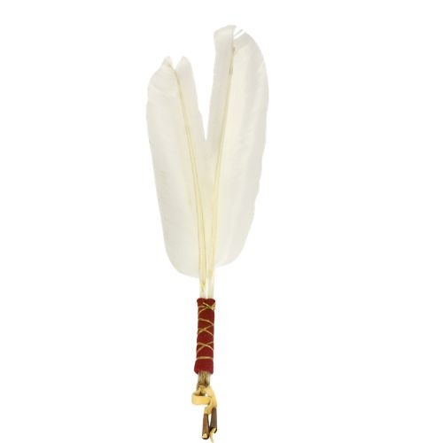 https://cdn.webshopapp.com/shops/259273/files/497495175/file.jpg