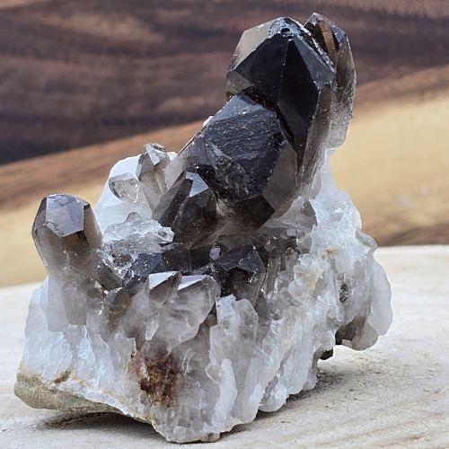 https://cdn.webshopapp.com/shops/259273/files/497662641/file.jpg