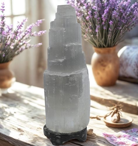 https://cdn.webshopapp.com/shops/259273/files/497704995/file.jpg