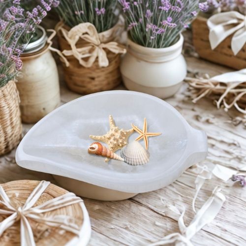 https://cdn.webshopapp.com/shops/259273/files/497759347/file.jpg