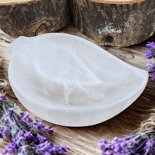 https://cdn.webshopapp.com/shops/259273/files/497759683/file.jpg