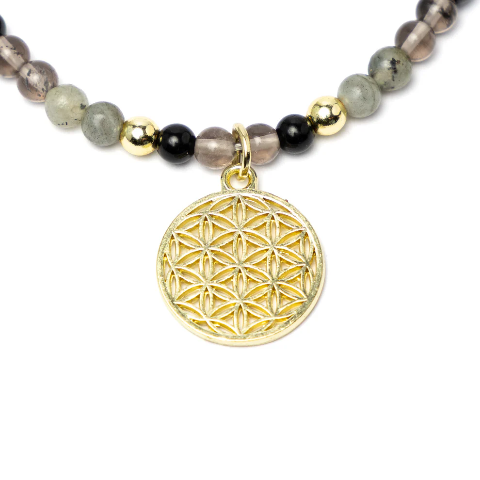 https://cdn.webshopapp.com/shops/259273/files/497800075/file.jpg