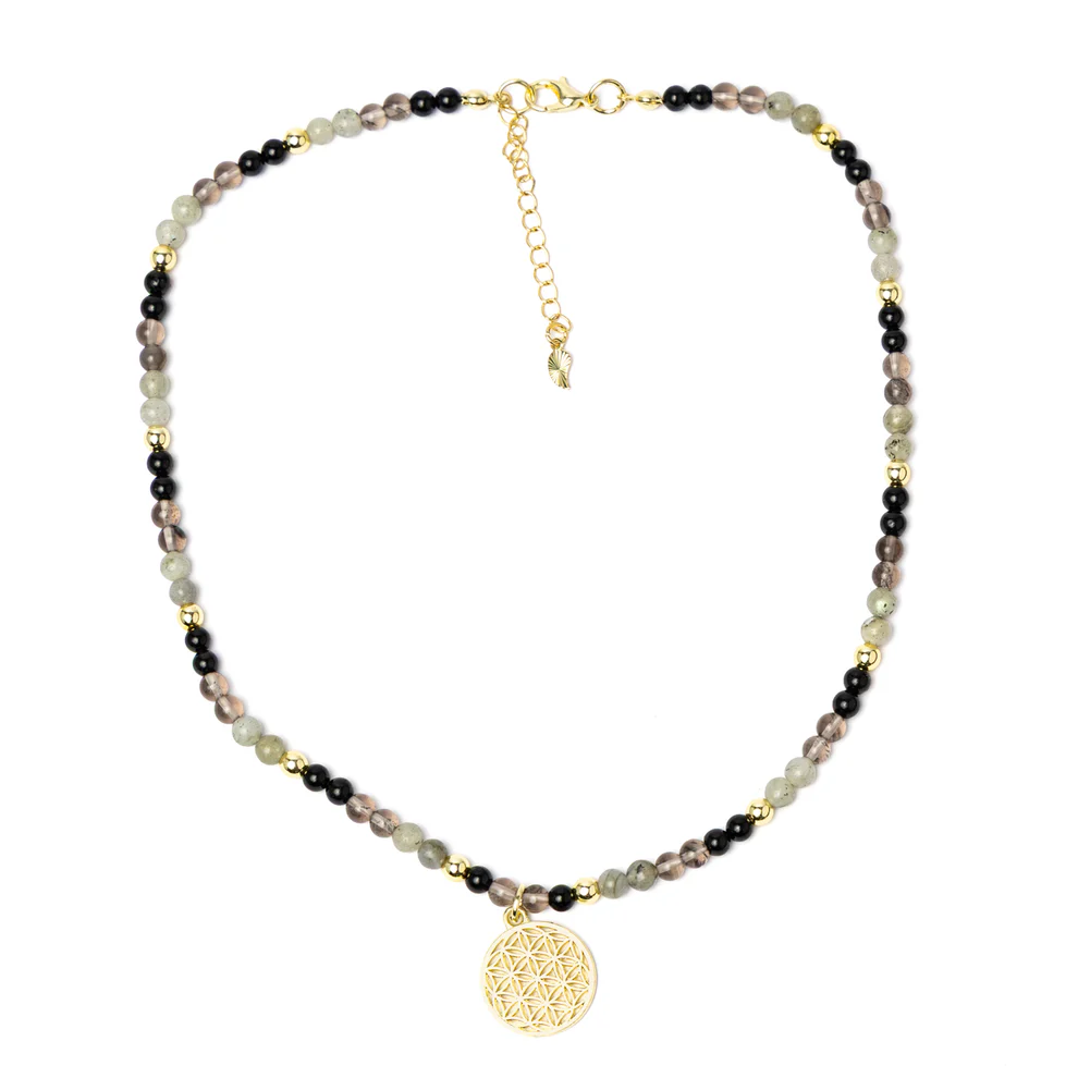 https://cdn.webshopapp.com/shops/259273/files/497800083/file.jpg
