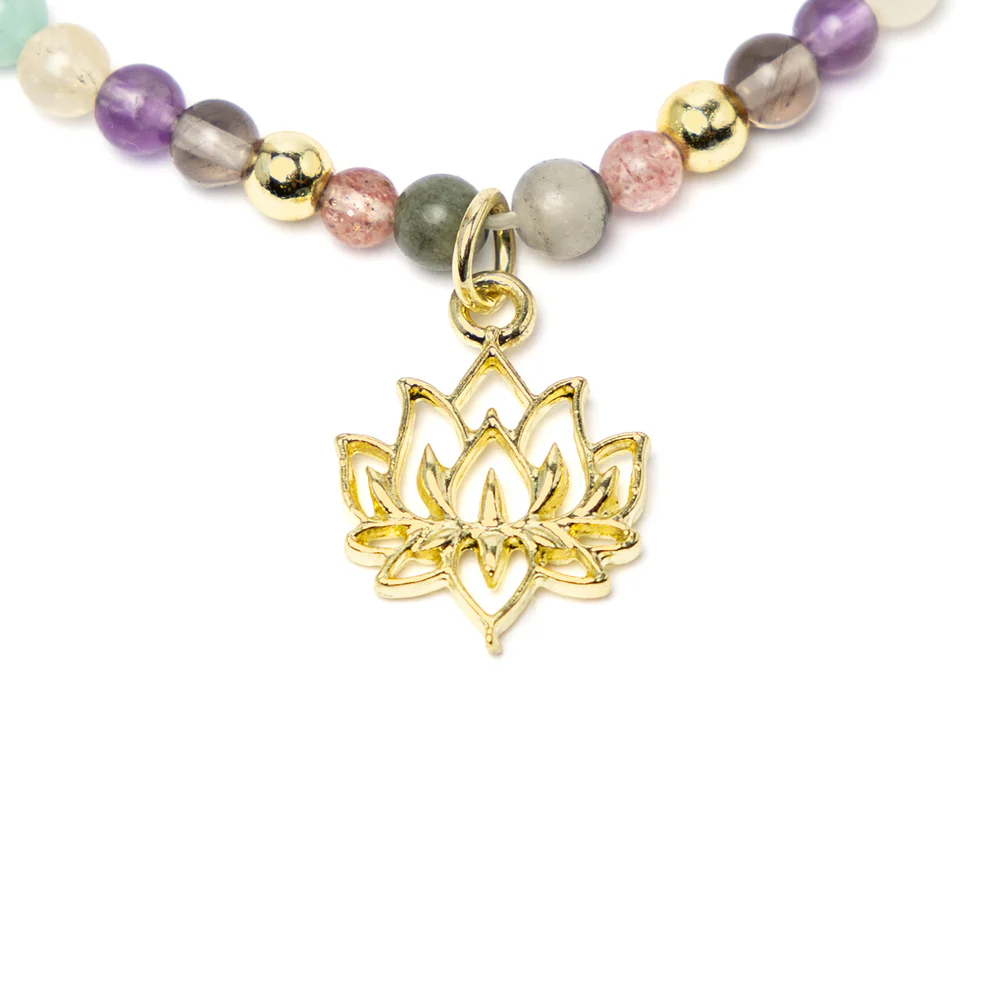 https://cdn.webshopapp.com/shops/259273/files/497801008/file.jpg