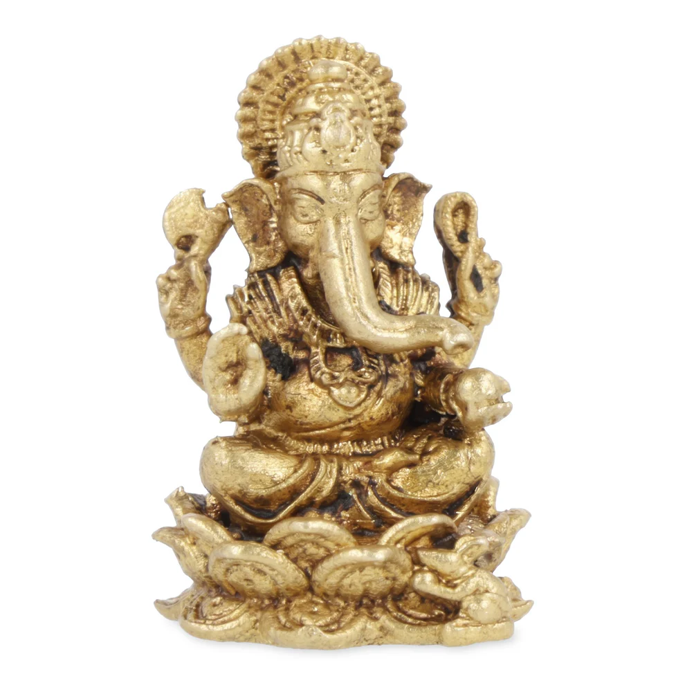https://cdn.webshopapp.com/shops/259273/files/497802291/file.jpg