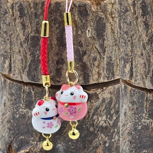 https://cdn.webshopapp.com/shops/259273/files/497825263/file.jpg