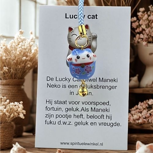 https://cdn.webshopapp.com/shops/259273/files/497825335/file.jpg