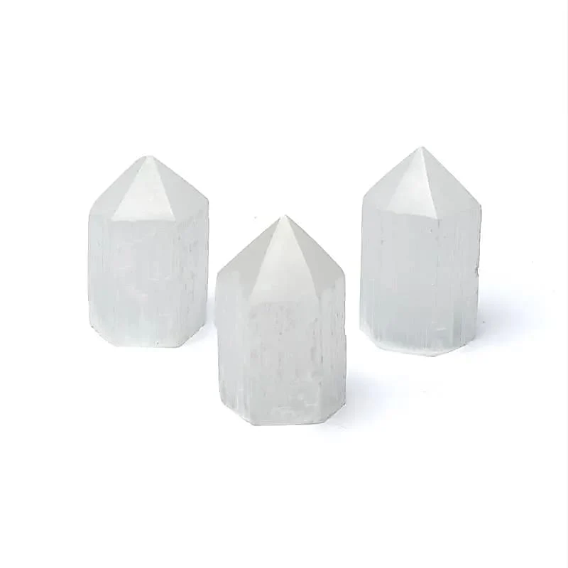 https://cdn.webshopapp.com/shops/259273/files/497851304/file.jpg