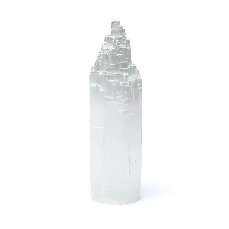 https://cdn.webshopapp.com/shops/259273/files/497981947/file.jpg