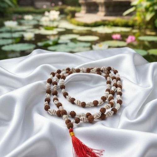 https://cdn.webshopapp.com/shops/259273/files/498134292/file.jpg