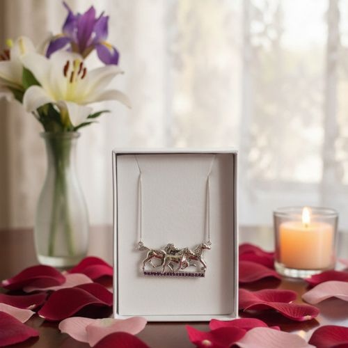 https://cdn.webshopapp.com/shops/259273/files/498135187/file.jpg