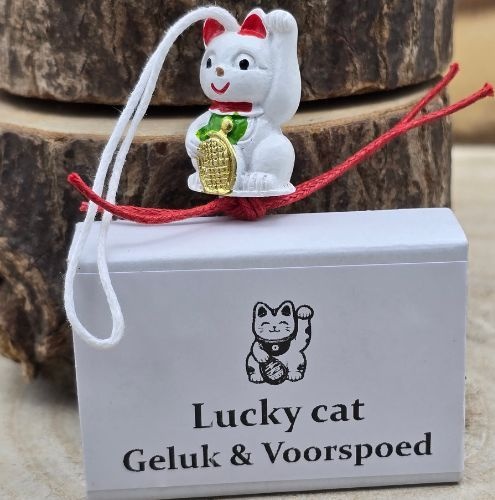 https://cdn.webshopapp.com/shops/259273/files/498178388/file.jpg