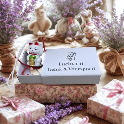 Zeige Details für Wensdoosje Lucky Cat – Gelukskat Hangertje https://cdn.webshopapp.com/shops/259273/files/498178522/file.jpg