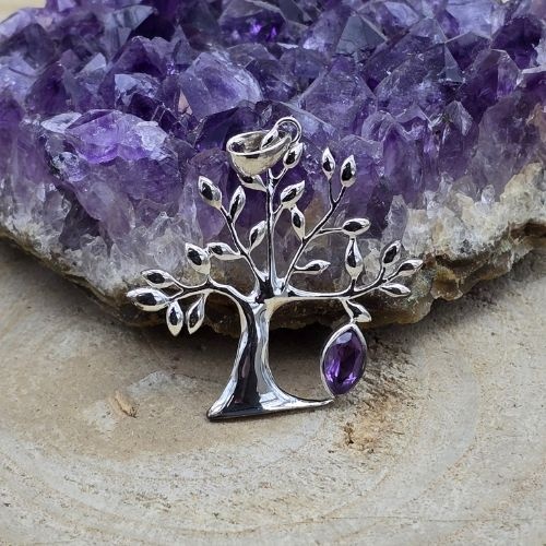 https://cdn.webshopapp.com/shops/259273/files/498280707/file.jpg