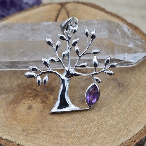 https://cdn.webshopapp.com/shops/259273/files/498280899/file.jpg