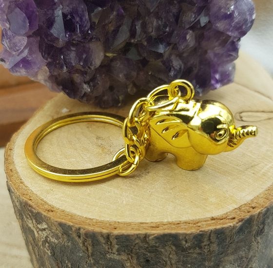 https://cdn.webshopapp.com/shops/259273/files/498295024/file.jpg