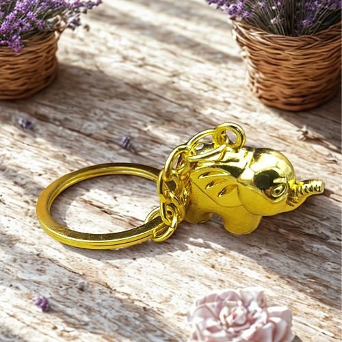 https://cdn.webshopapp.com/shops/259273/files/498311403/file.jpg