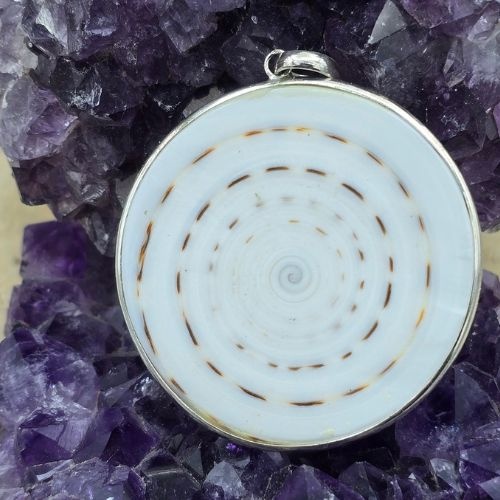 https://cdn.webshopapp.com/shops/259273/files/498323848/file.jpg
