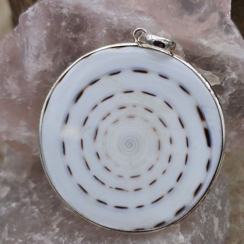 https://cdn.webshopapp.com/shops/259273/files/498323864/file.jpg