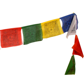 https://cdn.webshopapp.com/shops/259273/files/498500577/file.jpg
