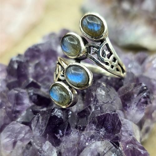 https://cdn.webshopapp.com/shops/259273/files/498568506/file.jpg