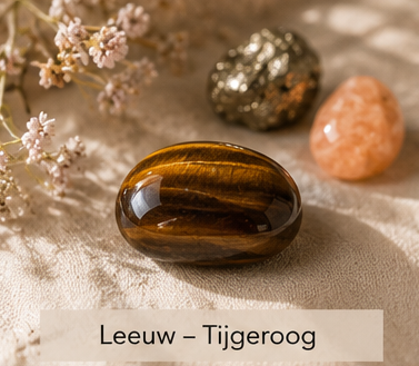 Leeuw sterrenbeeld edelsteen