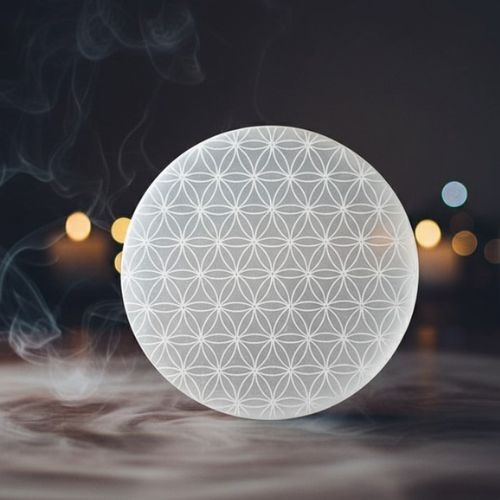 https://cdn.webshopapp.com/shops/259273/files/498747131/file.jpg