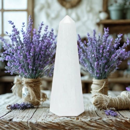 https://cdn.webshopapp.com/shops/259273/files/498771209/file.jpg