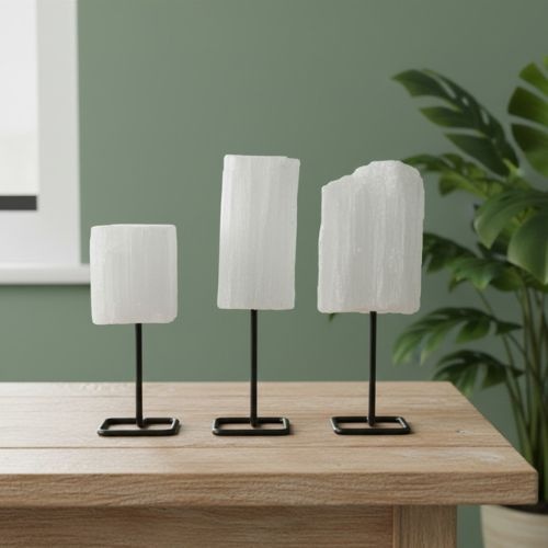 https://cdn.webshopapp.com/shops/259273/files/498772302/file.jpg