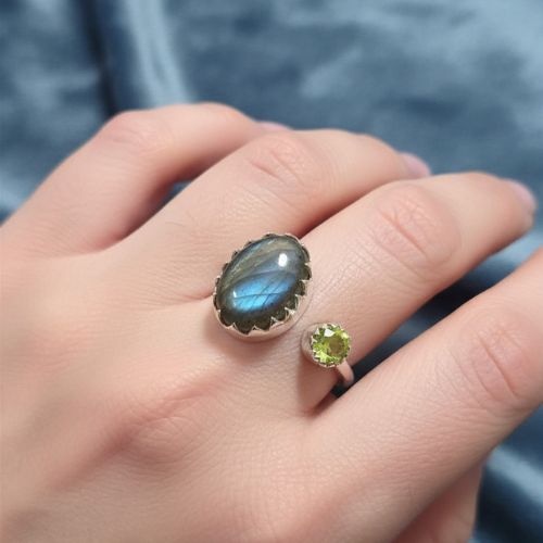 https://cdn.webshopapp.com/shops/259273/files/498777963/file.jpg