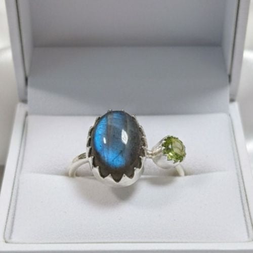 https://cdn.webshopapp.com/shops/259273/files/498801352/file.jpg